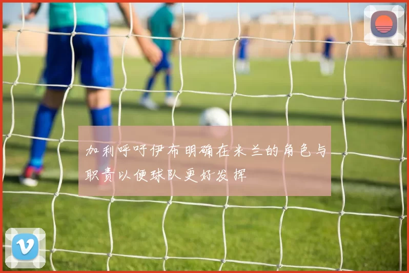 加利呼吁伊布明确在米兰的角色与职责以便球队更好发挥